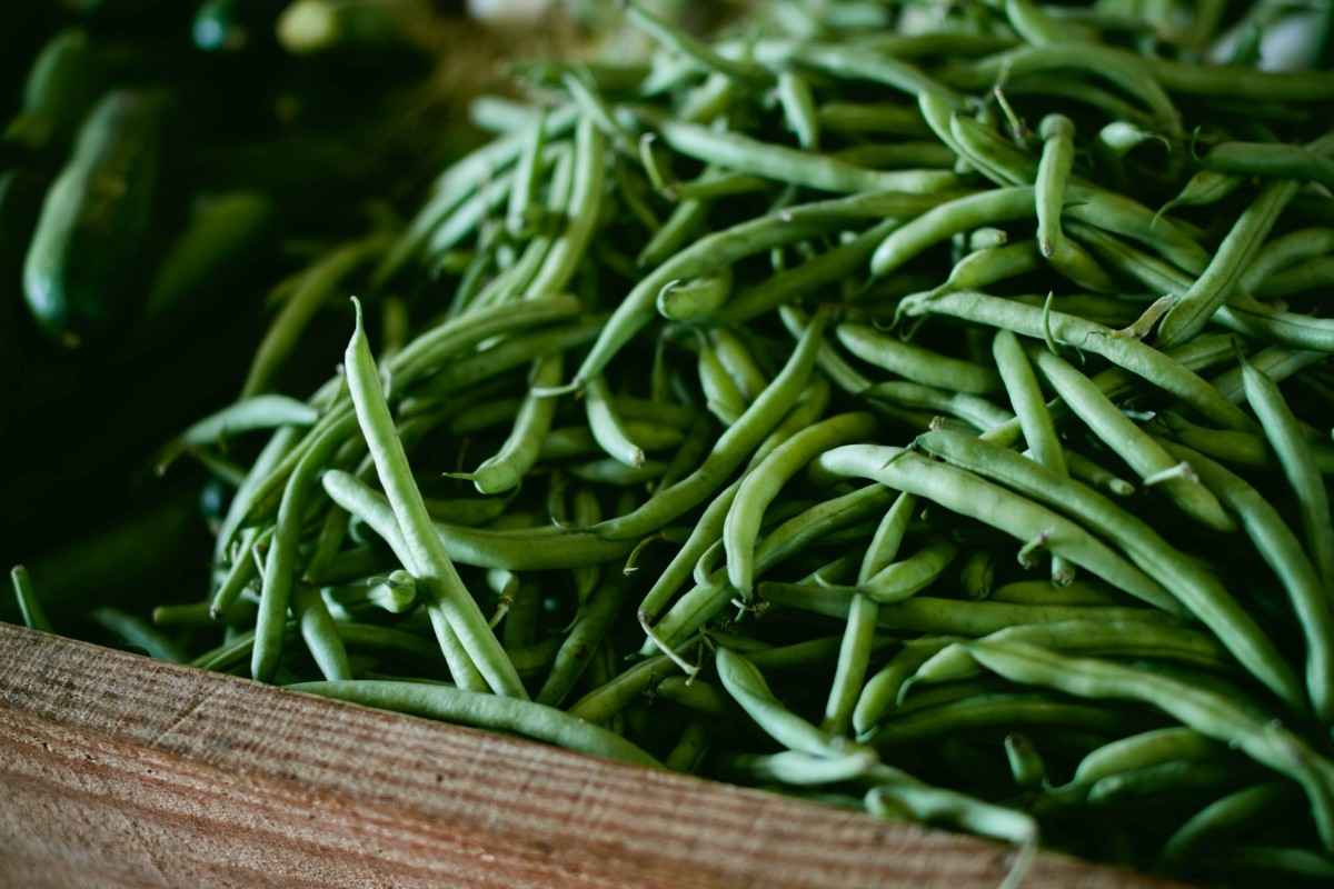 #10 can green beans