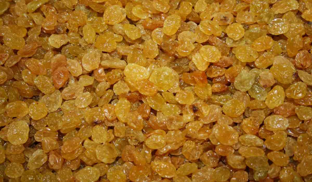 unsulphured golden raisins
