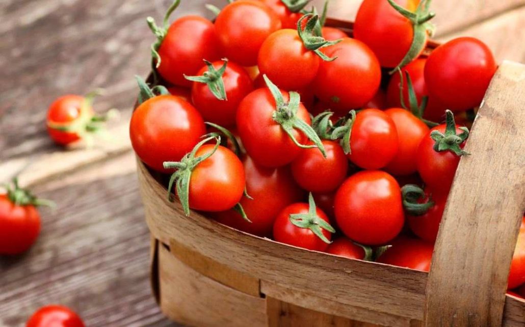 How to store tomatoes in the fridge