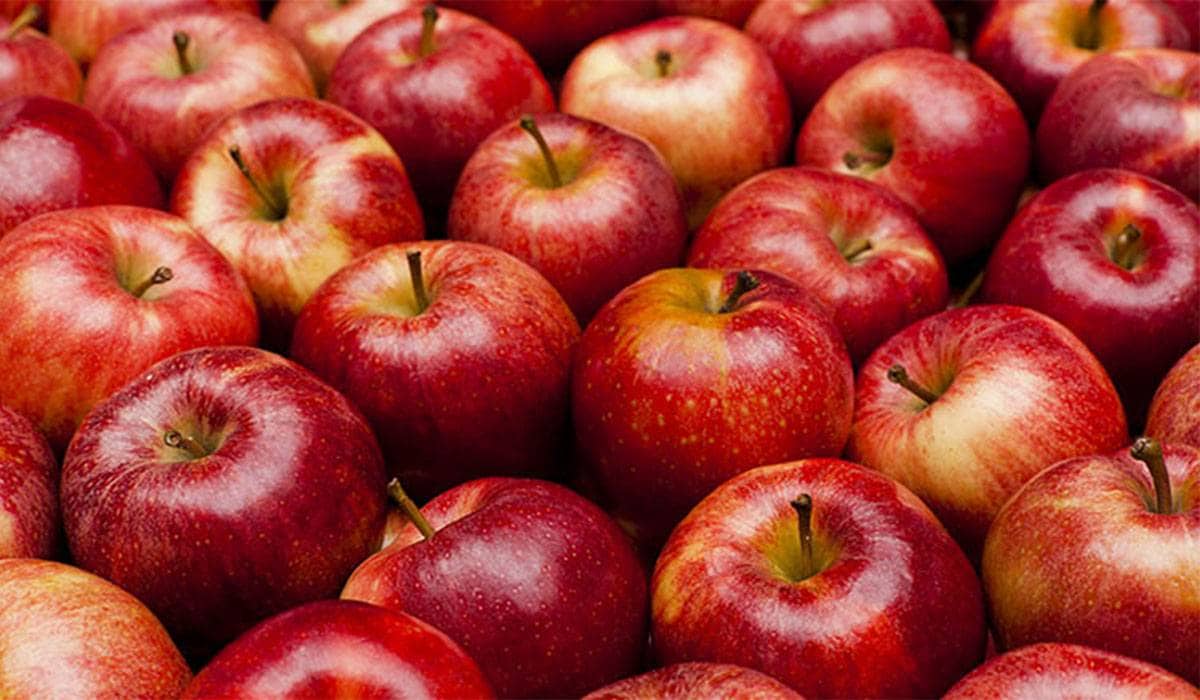 organic gala apple nutrition