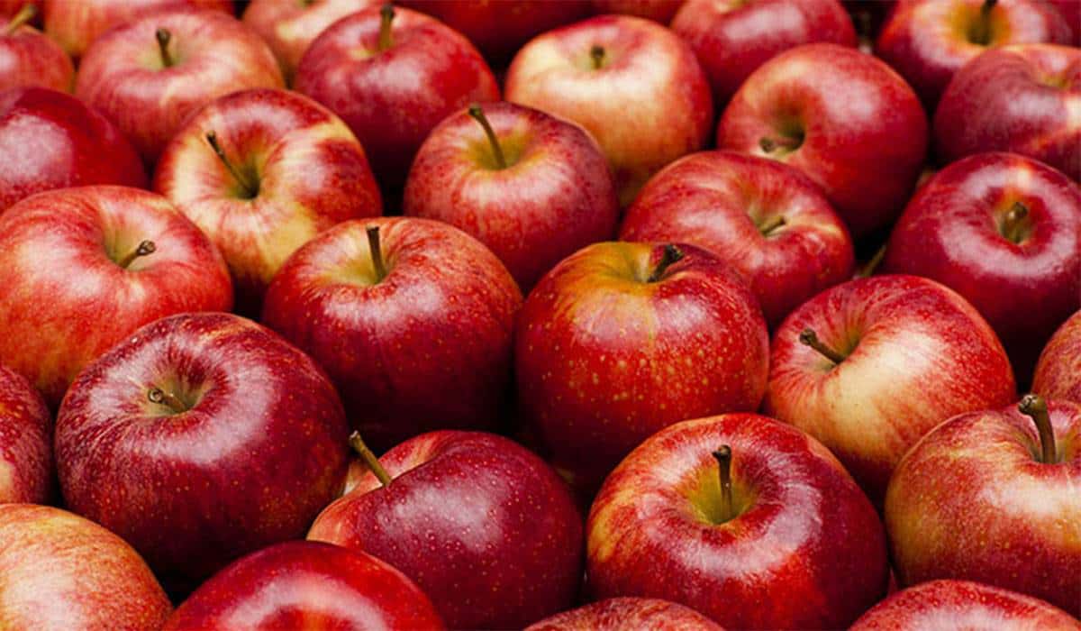 Parents-On-the-GO!: Organic Gala Apples