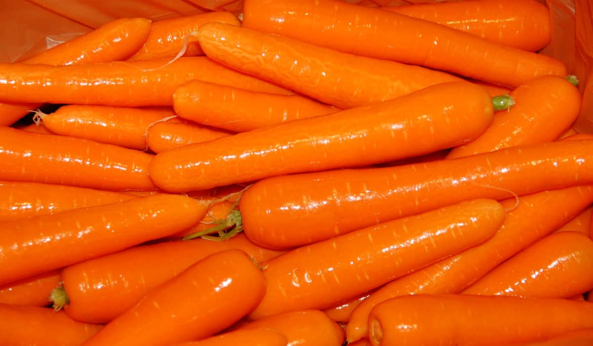 buy danvers carrots