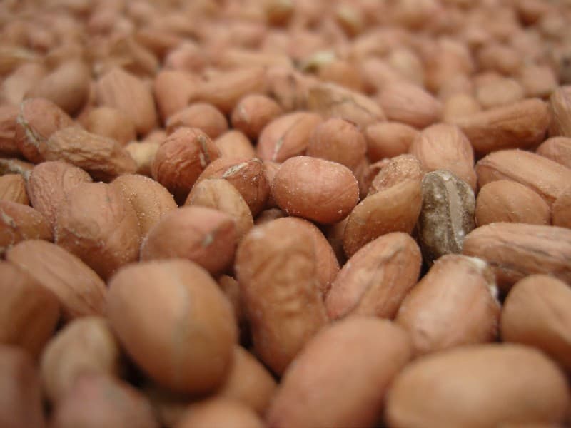red skin peanuts wholesale