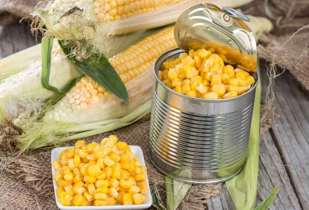Сладость кукуруза. Кукуруза консервированна. Кукуруза сладкая консервированная. Кукуруза в банке. Сладкая кукуруза в банке.