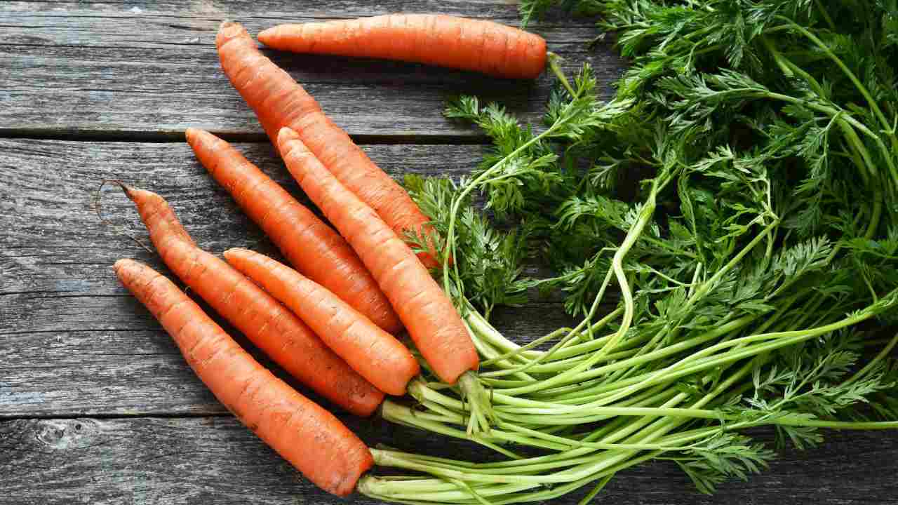 danvers carrots for sale