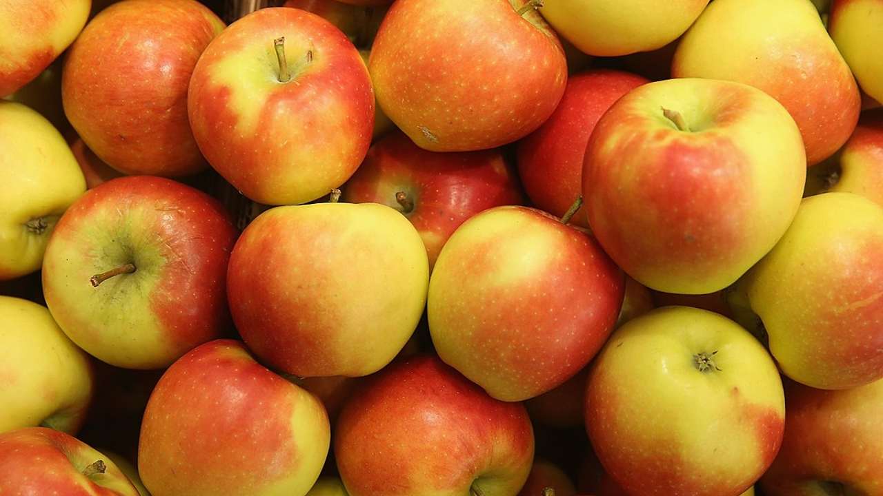 Cortland Apple for Sale in Wisconsin