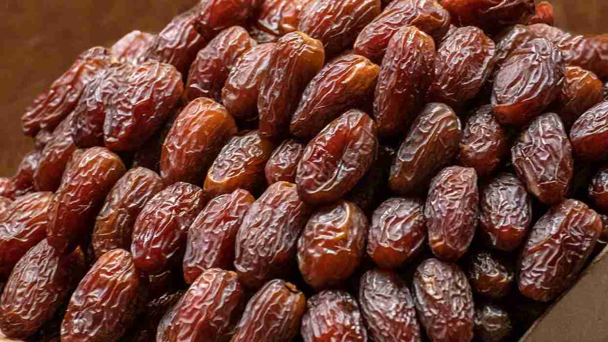 palestinian dates for sale