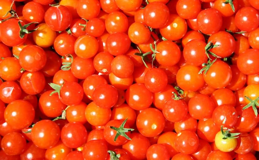 Grape tomatoes for sale