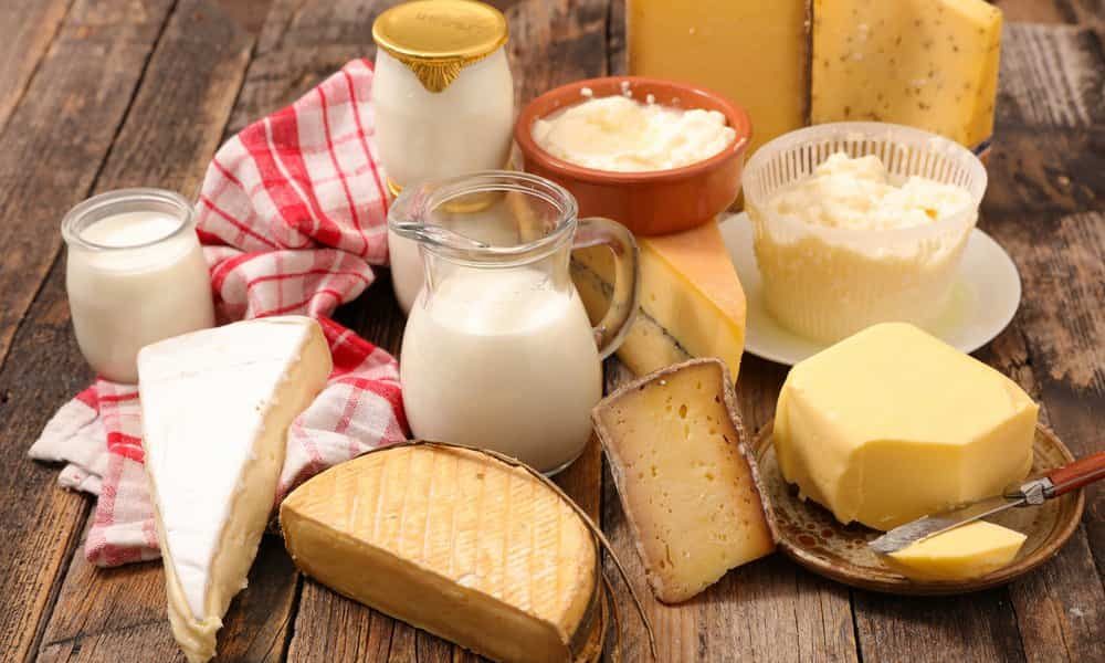 jersey dairy products