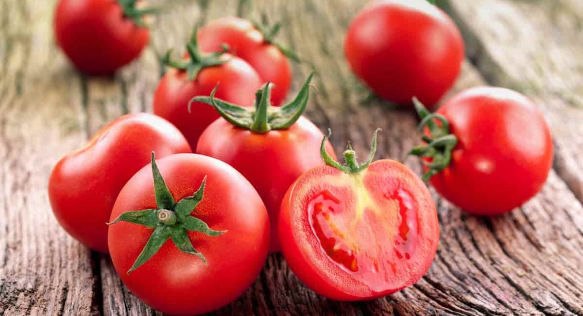 Tomato lycopene benefits
