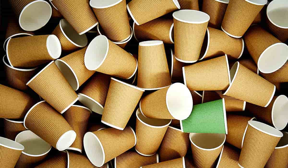 disposable cups with lids and straws