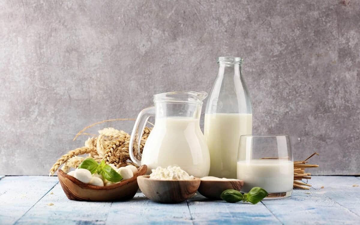 Dairy and joint pain