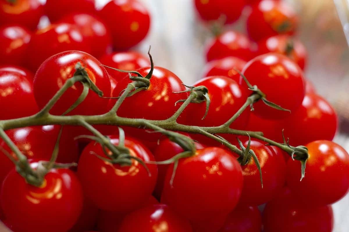 Grape tomatoes benefits