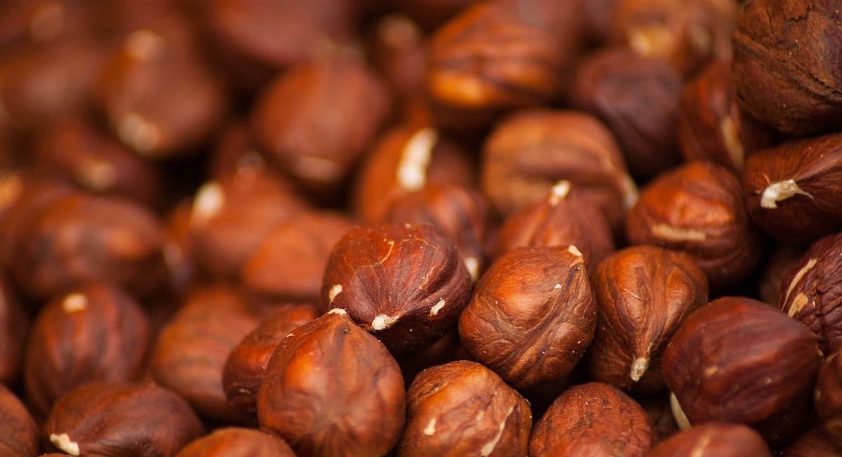 Where to buy hazelnuts in shells