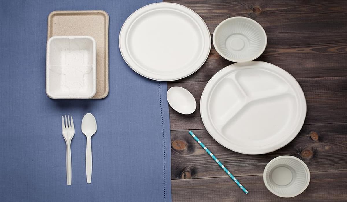 Disposable dinnerware sets