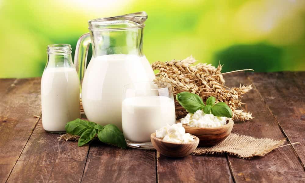 Chanakya dairy products ltd