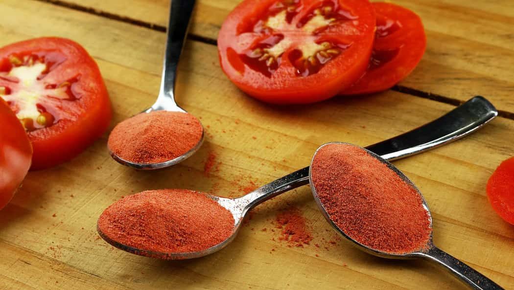 Tomato powder processing pdf