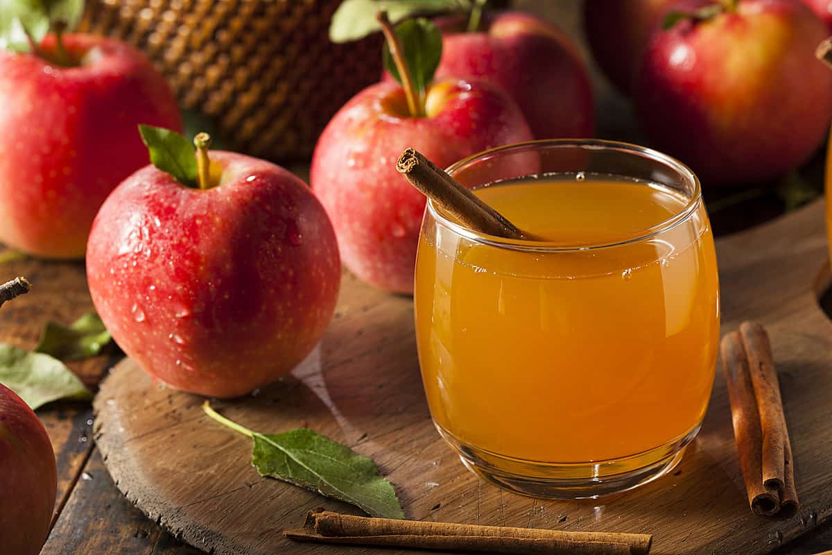 is mott's apple juice healthy
