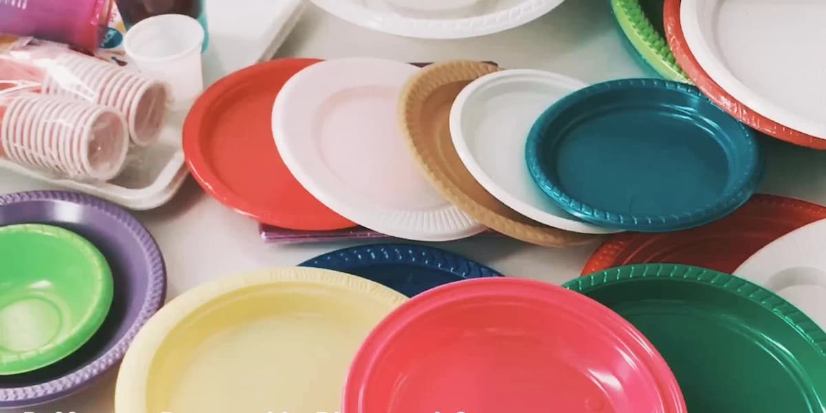 Morrisons Disposable plastic plates
