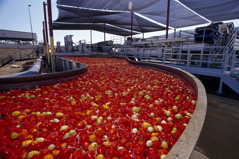 Tomato ketchup making machine manufacturers
