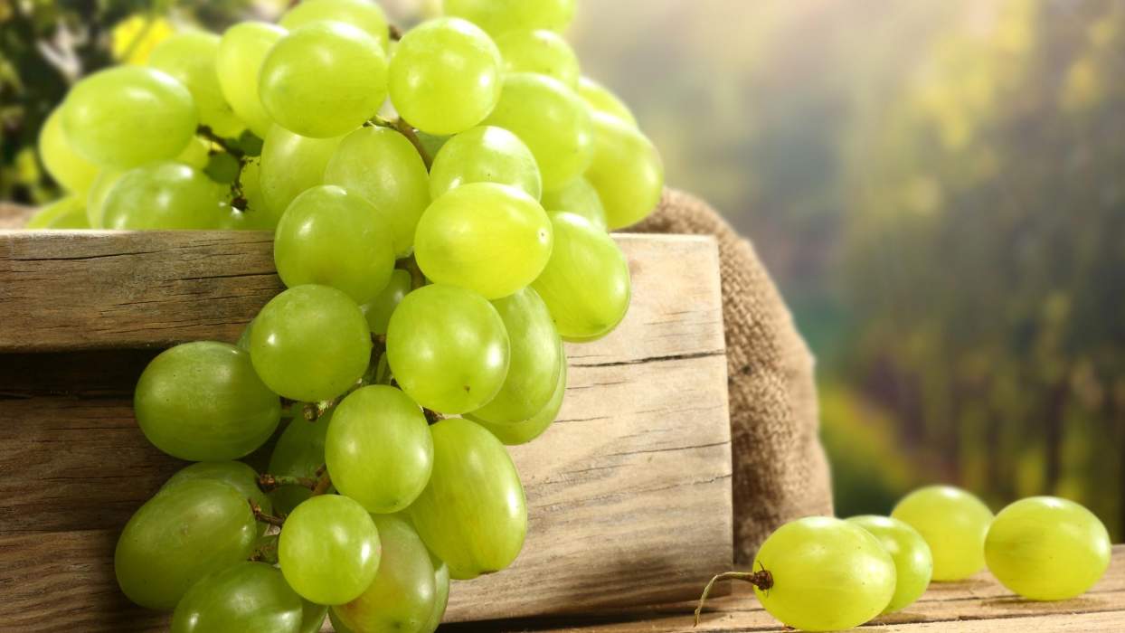 fresh organic grapes fruit