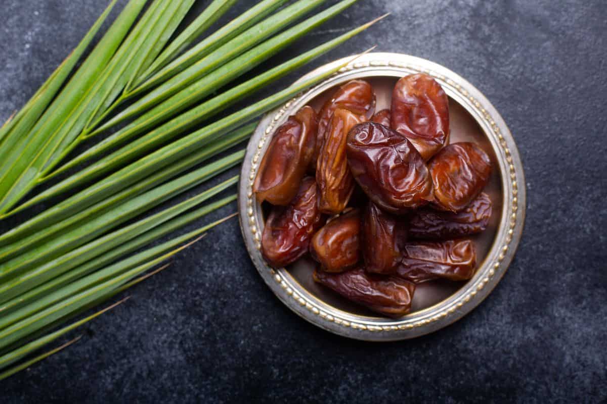 Pitted Medjool dates nutrition