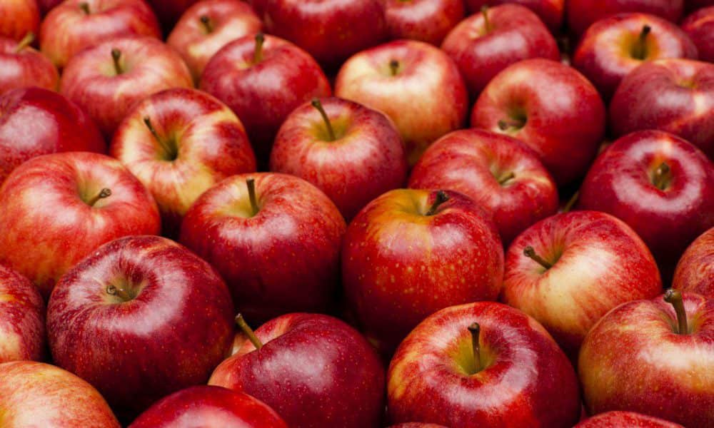 Red Delicious - Good Fruit Guide