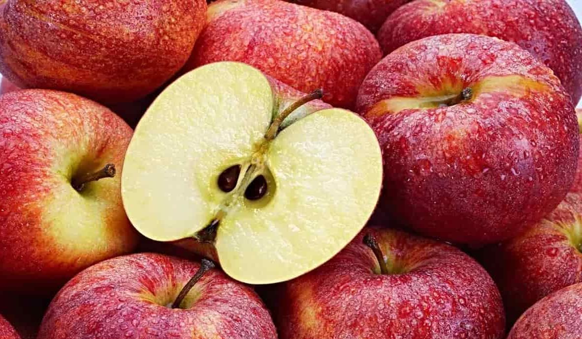 Gravenstein apple pollination