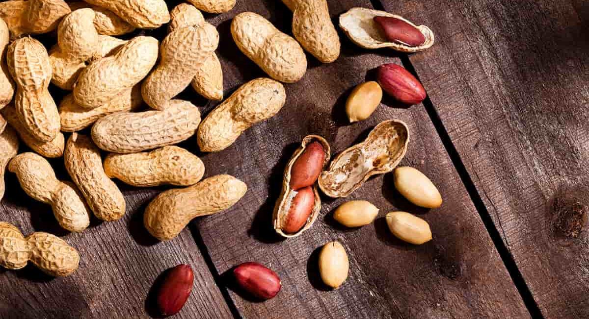 Red skin peanuts health benefits