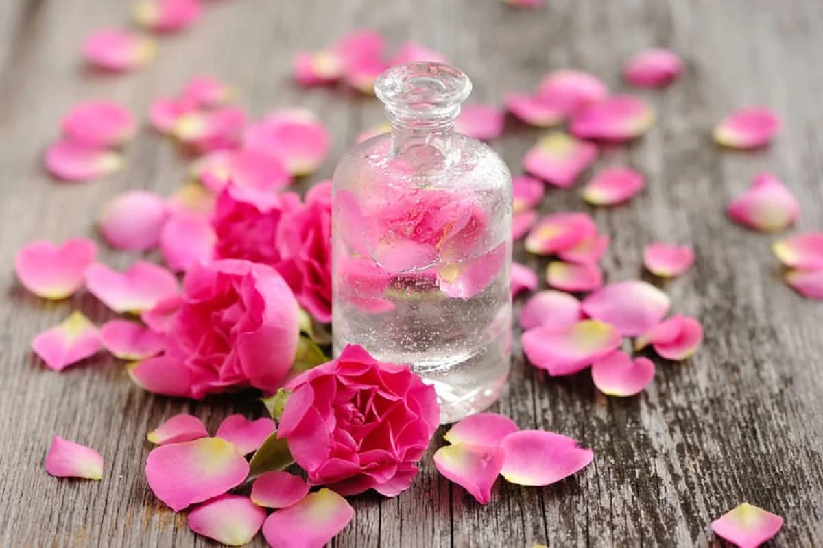 How to use rose water