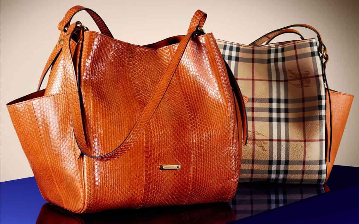 Best handbags for women