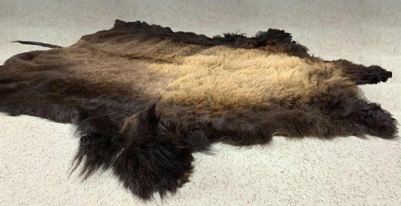 Tanned buffalo hide for sale