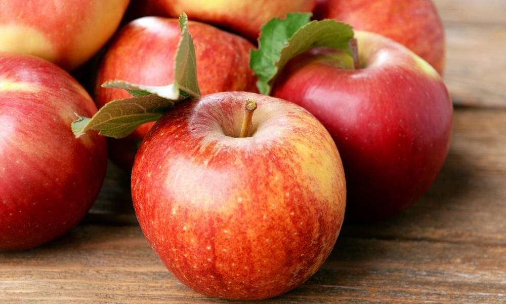 Healthy gala apple