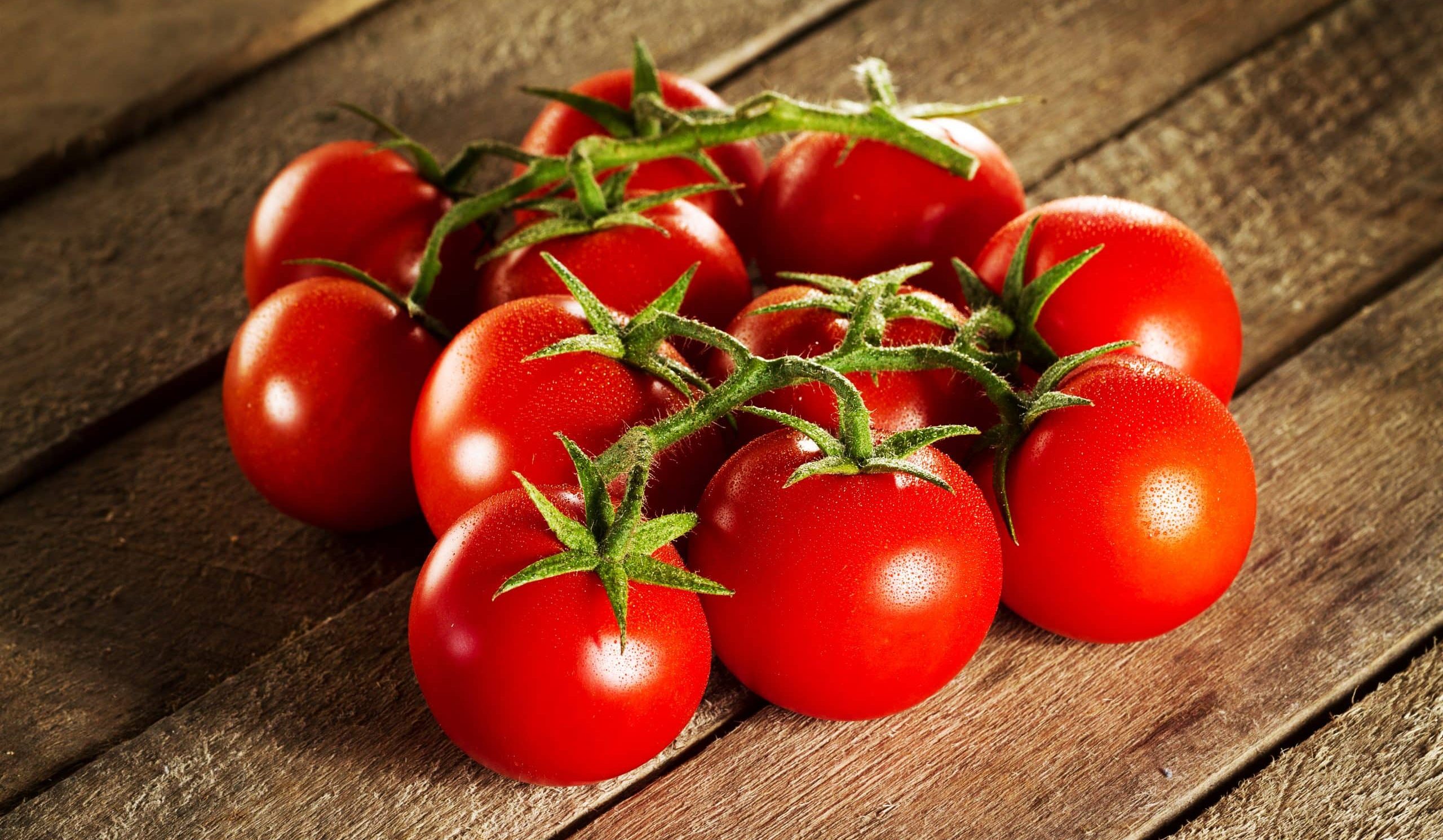 Tomato bulk