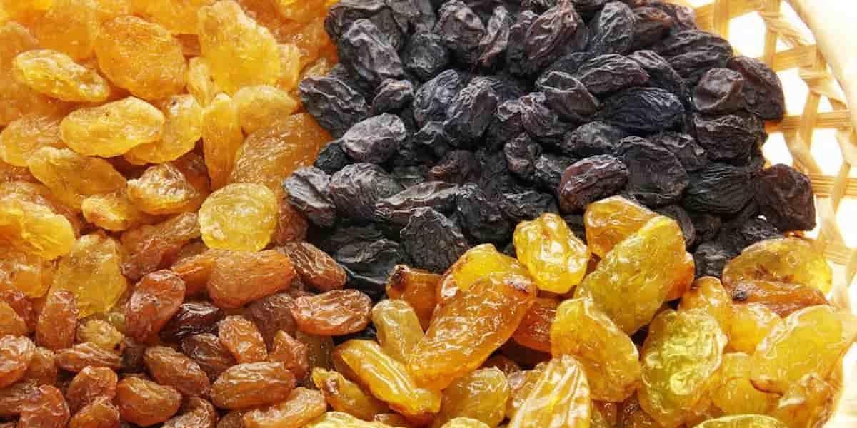 raisins company india amazon