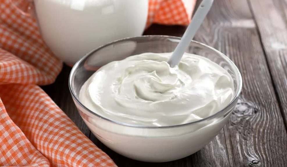 Cream cheese yogurt dessert