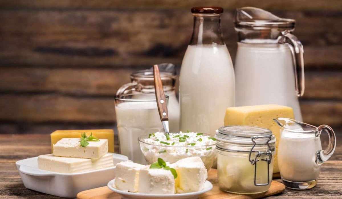 Interesting facts about dairy products