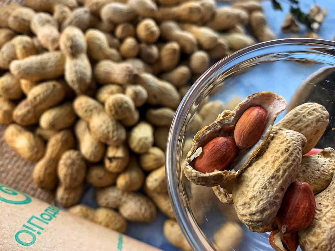 dry roasted peanuts vs salted peanuts