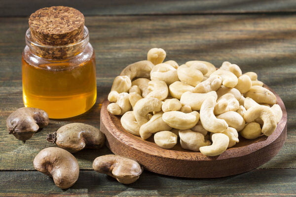 Cashew nut shell liquid toxicity