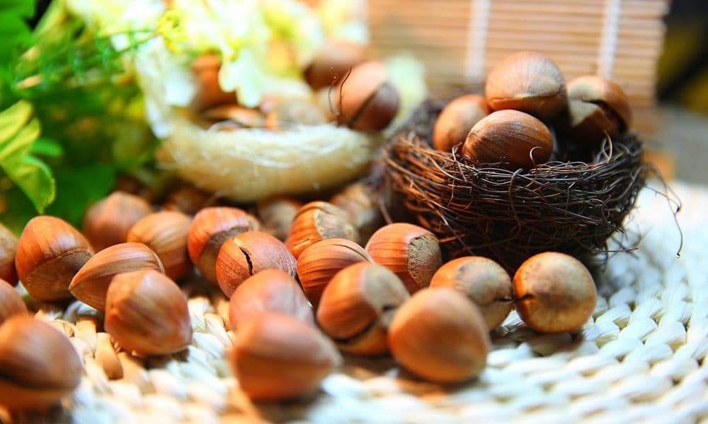 Hazelnut benefits for pregnancy