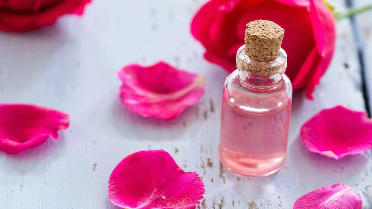 Damask rose essential oil uses