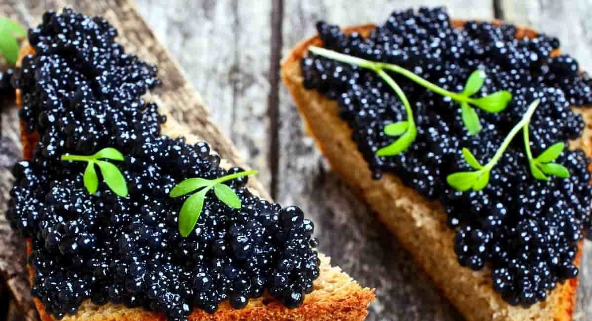Beluga caviar taste