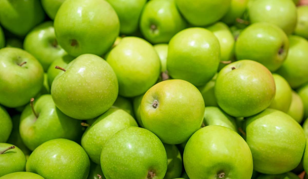 Fresh apple wholesalers