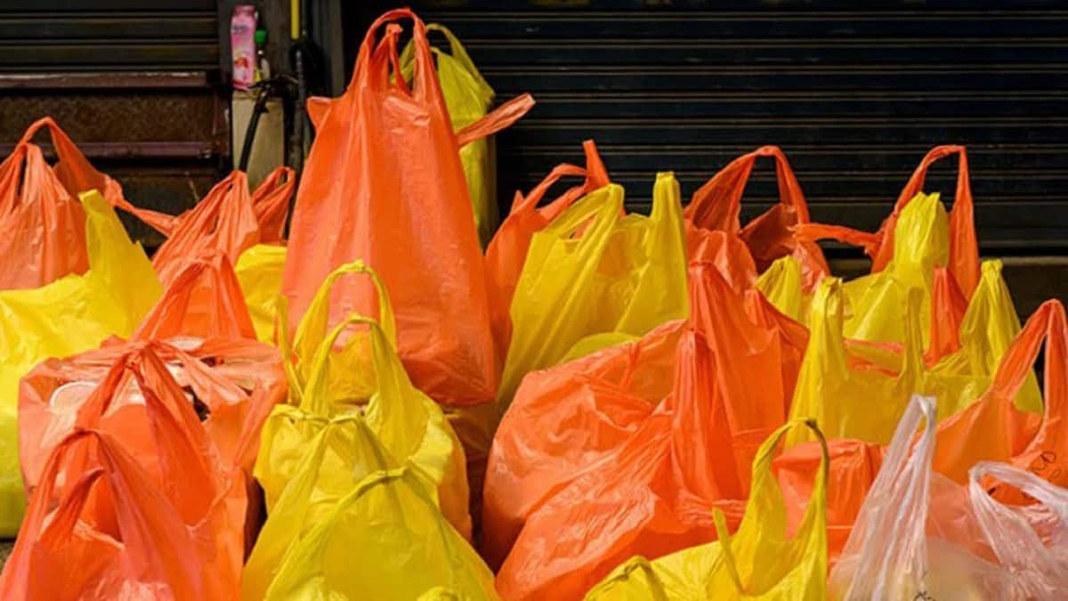 Plastic bags wholesale