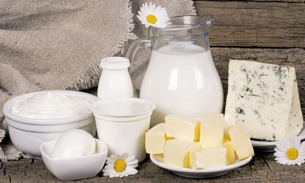 Unipex dairy products