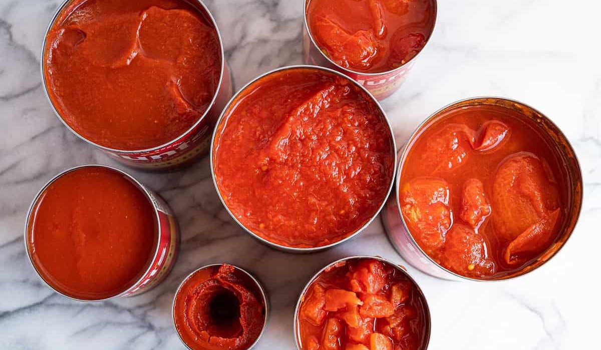 Tomato paste can business