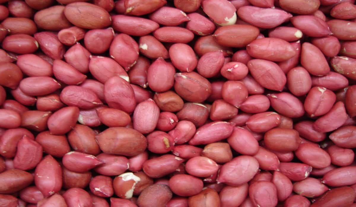 red skin peanuts wholesale