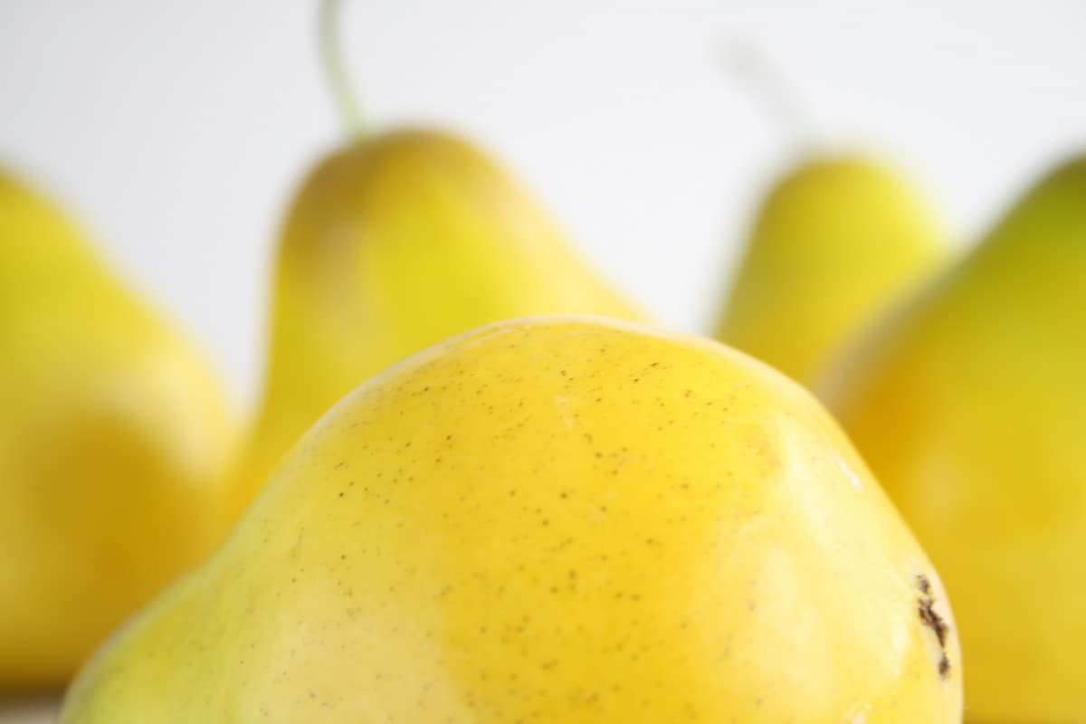 organic fresh pear fruit prices