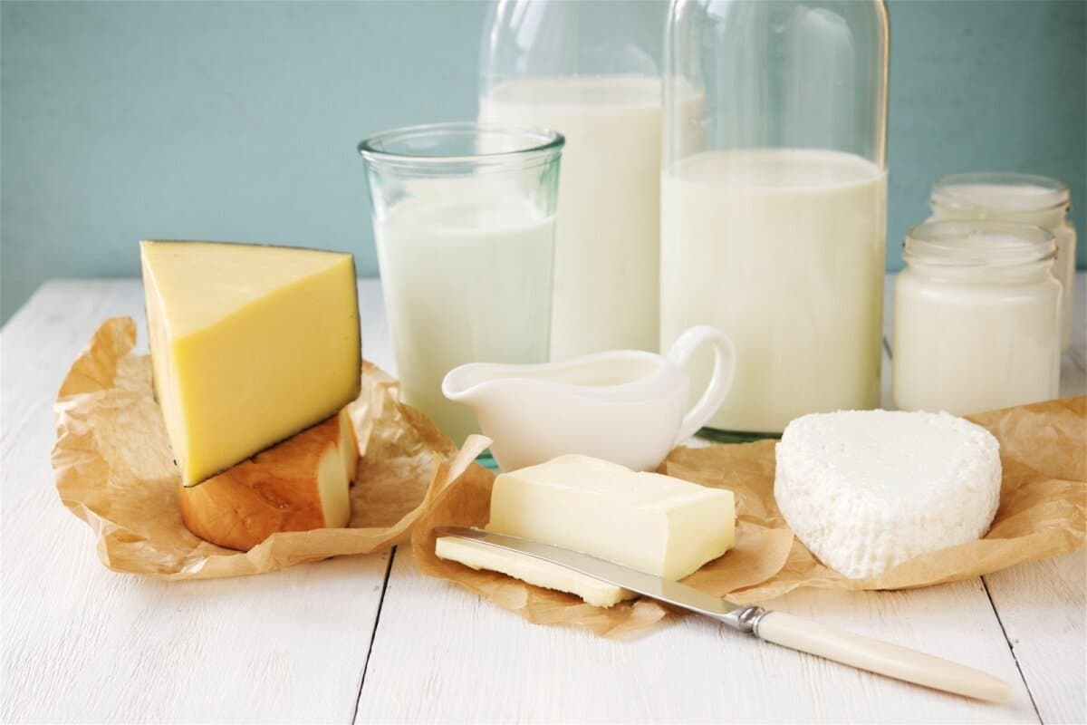 Dairy products facts