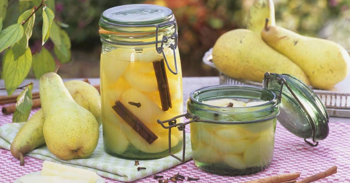 hybrid canned pears